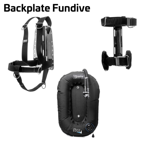 Back Plate Fundive